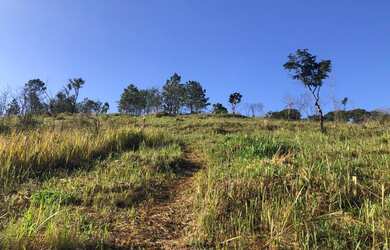 Imagem 2: Lote/Terreno para venda possui 1000 metros quadrados em Jardim Tapajós...