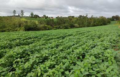 Imagem 14: ITAPETININGA - RURAL - ÁREA RURAL DE ITAPETININGA