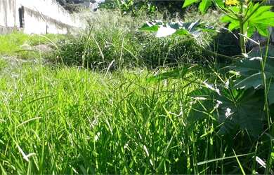 Imagem 12: Terreno no Jardim São Bento com todas as aprovações de todos os órgãos pronto para constru