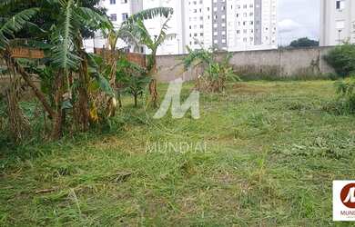 Imagem: O depósito para alugar possui e está localizado em Ipiranga