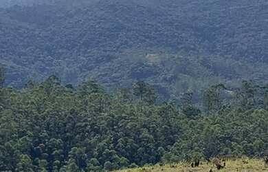 Imagem 16: Lote/Terreno para venda tem 1000 metros quadrados em Vila Santista - Atibaia...