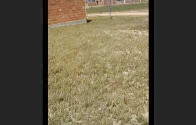 Imagem 1: Terreno praia Terreno / lote com venda por R$14.000