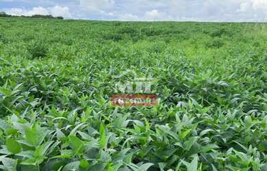 Imagem 2: Fazenda em Montes Claros de Goiás. gt 219 Alq. 1.060 há