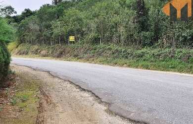 Imagem 9: Área à venda em Almirante Tamandaré na estrada do marmeleiro