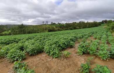 Imagem 11: ITAPETININGA - RURAL - ÁREA RURAL DE ITAPETININGA