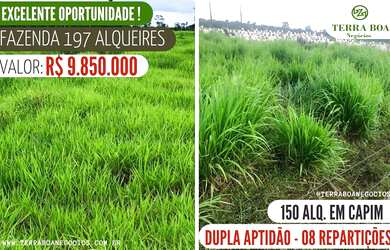 Imagem: A fazenda está localizado em Igarapé, Porto Velho à venda