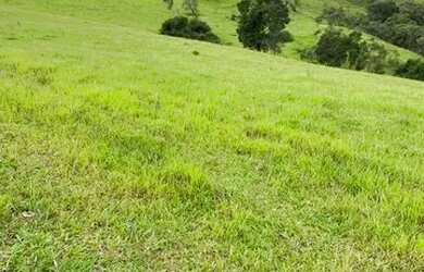 Imagem: A fazenda possui 72m² de Área e está localizado em Centro