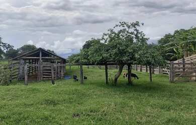 Imagem 8: Imóvel para venda possui 1010000 metros quadrados em Centro - Arinos...