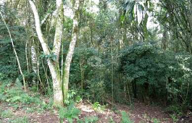 Imagem 10: Terreno em Nova Petrópolis na Serra Gaúcha