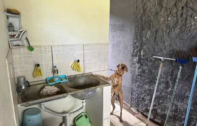 Imagem 14: Vendo Casa no Angelim - aceito financiamento