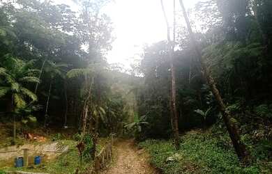 Imagem 6: OPORTUNIDADE 70 mil reais rica em agua