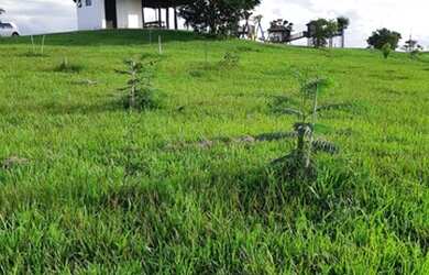 Imagem 3: Terreno Bouganville Residence