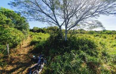 Imagem 5: Vendo Sítio 50 hectares na Alça Viária KM 32. Terreno 500.000m2