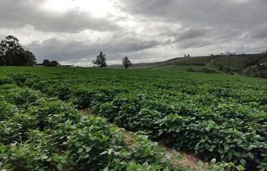 Imagem 15: ITAPETININGA - RURAL - ÁREA RURAL DE ITAPETININGA