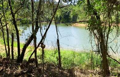 Imagem 11: Terreno para venda possui 600 metros quadrados