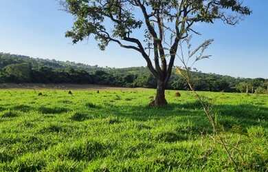 Imagem 6: Excelentes Terrenos Financiados em São Gonçalo do Pará