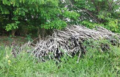 Imagem 9: AREA Beira de pista PB-008 COM 37.500m2 frente PB-008 4km da Praia Bela