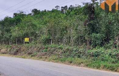 Imagem 10: Área à venda em Almirante Tamandaré na estrada do marmeleiro
