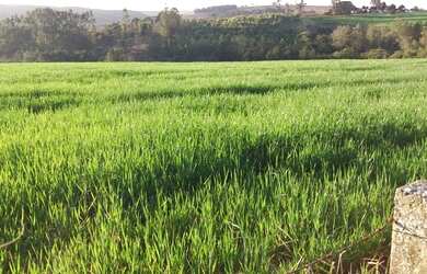 Imagem 1: ITAPETININGA - RURAL - ÁREA RURAL DE ITAPETININGA