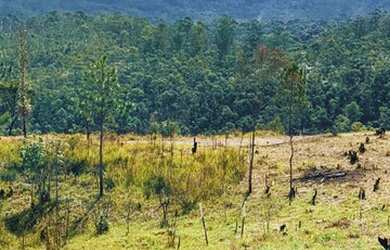 Imagem 10: 89m-Terrenos no Recanto das aguas, lindo! Venha garantir o seu