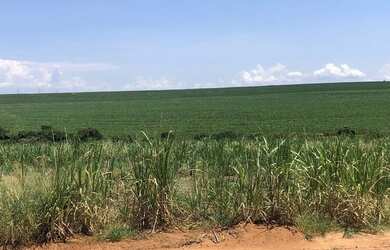 Imagem 1: FAZENDA EM SANTA CRUZ DO RIO PARDO COM 200 ALQUEIRES