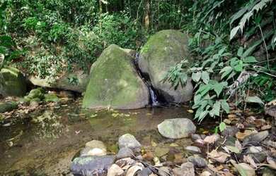 Imagem 5: Angra dos Reis - Casa de Condomínio - Porto Frade