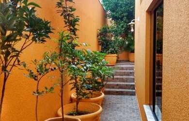 Imagem 5: Vendo ou troco por chácara