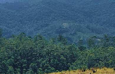 Imagem 4: 89m-Terreno próx. à Atibaia. venha agendar sua visita