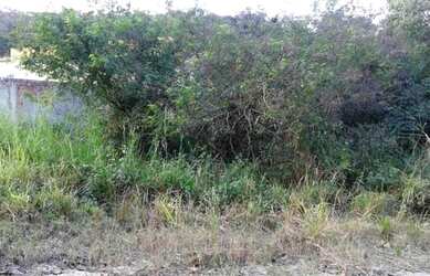 Imagem 6: Lote/Terreno para venda com 591 metros quadrados em Maria Paula - São Gonçalo - RJ