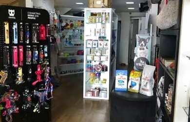 Imagem 6: Pet shop Boutique em Balneário Camboriú