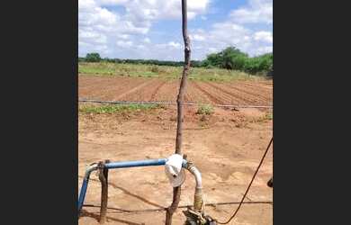 Imagem 10: Oportunidade única. 20.000m² de Área