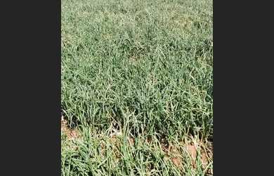 Imagem 13: Oportunidade única. 20.000m² de Área