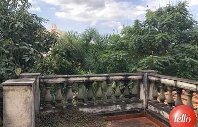 Imagem 7: São Paulo - Casa Padrão - Lapa