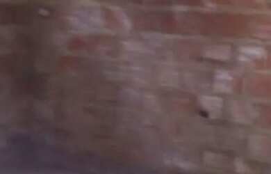 Imagem: A casa possui 2 Dormitórios, 1 Banheiro e está localizado