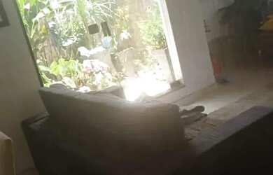 Imagem 9: Casa para Venda em Mairinque, Sitio Durvalino, 5 dormitórios, 1 suíte,...