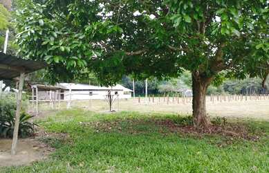 Imagem 8: Fazenda na pista Rodovia BR174, entre Km 60 e 63. 2.449ha com 3.900mts de fachada. 45.000