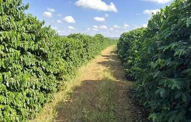 Imagem: A fazenda possui 18.440.000m² de Área e está localizado