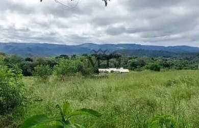 Imagem 11: Sítio bairro Linha Brasil, Nova Petrópolis.RS Ref. 134