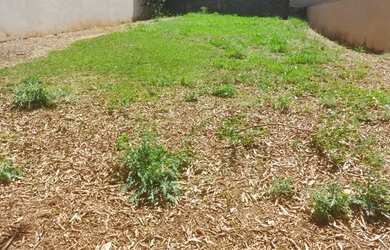 Imagem: O terreno possui 336m² de Área e está localizado em Vila