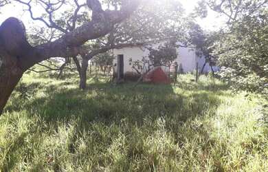 Imagem: Terreno/lote/chácara