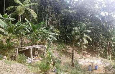 Imagem 16: OPORTUNIDADE 70 mil reais rica em agua