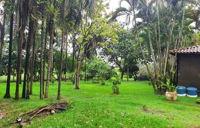 Imagem 9: SÃO JOSÉ DO RIO PRETO - RURAL - CENTRO TALHADO