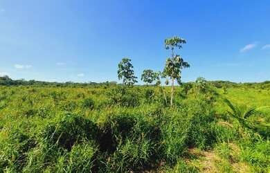 Imagem 1: Vendo Sítio 50 hectares na Alça Viária KM 32. Terreno 500.000m2