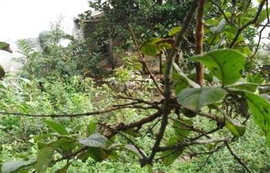 Imagem 5: vendo. 360m² de Área