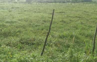 Imagem: O terreno está localizado em Moita Bonita, SE à venda por