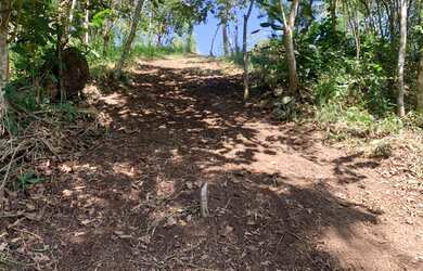 Imagem 3: Terreno para venda possui 600 metros quadrados