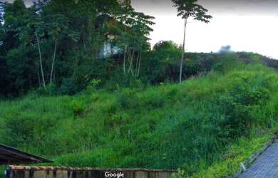 Imagem 3: JOINVILLE - Terreno Padrão - FLORESTA