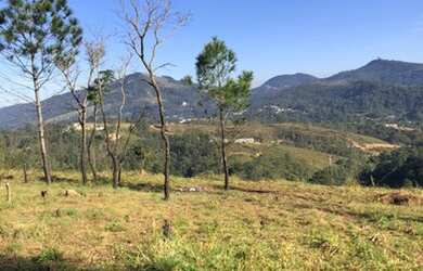 Imagem 5: Lote/Terreno para venda possui 1000 metros quadrados em Vila Santista...