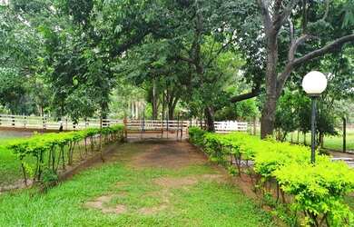 Imagem 3: SÃO JOSÉ DO RIO PRETO - RURAL - CENTRO TALHADO