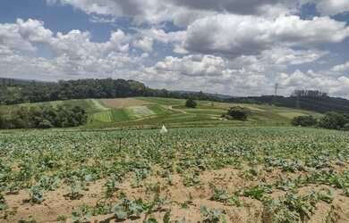 Imagem: O terreno possui 500m² de Área e está localizado em Adalgisa